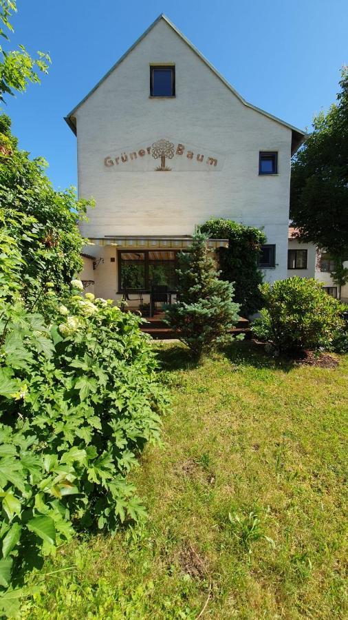 Gasthof Gruener Baum Кірхберг-на-Векселі Екстер'єр фото