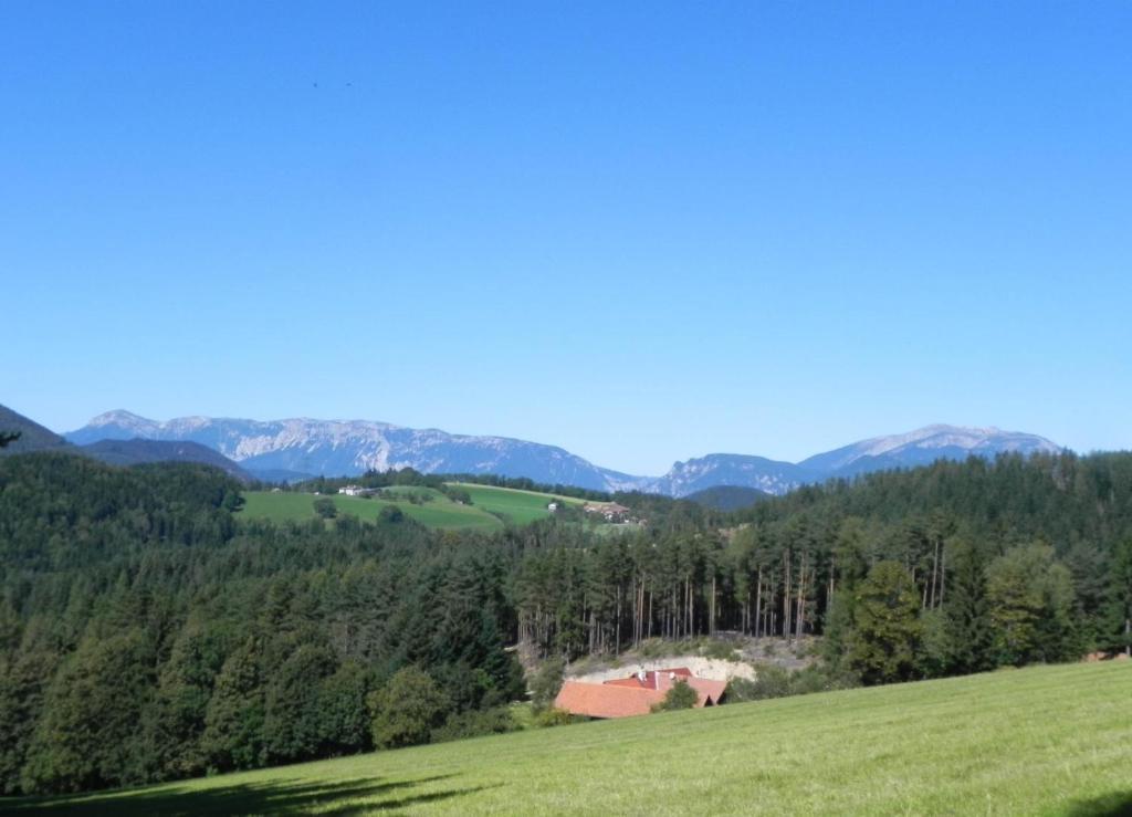 Gasthof Gruener Baum Кірхберг-на-Векселі Екстер'єр фото