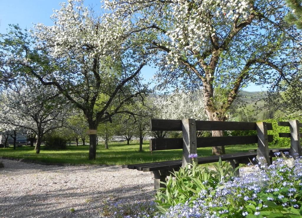 Gasthof Gruener Baum Кірхберг-на-Векселі Екстер'єр фото